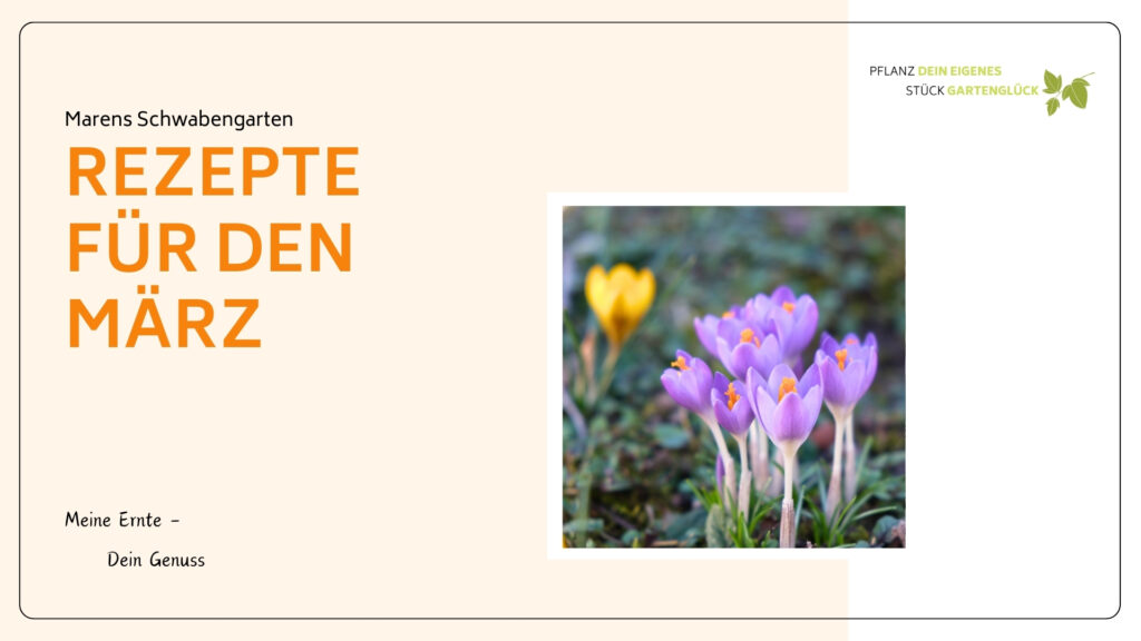 Kostenloses Kochbuch für den Gemüsegarten – Rezepte aus der März-Ernte