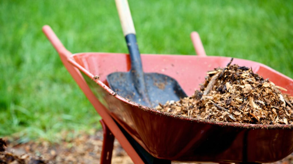 Rote Schubkarre mit Schaufel und Holzhäckseln zum Mulchen im Garten – effektive Vorbereitung für nachhaltige Bodenpflege im Gemüsegarten