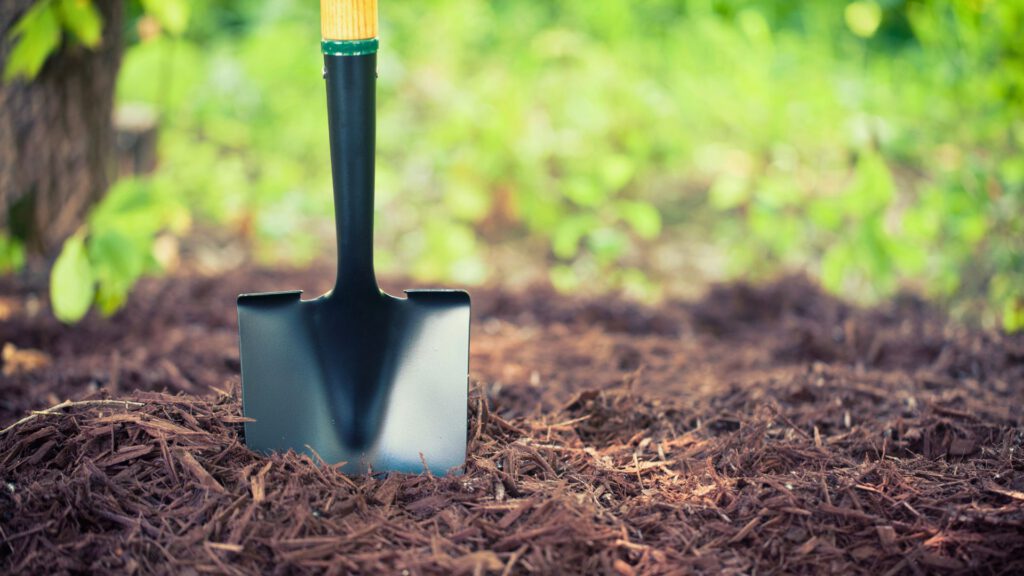 Schaufel steckt in frischer Mulchschicht im Garten – Mulchen schützt den Boden, speichert Feuchtigkeit und verbessert das Pflanzenwachstum.