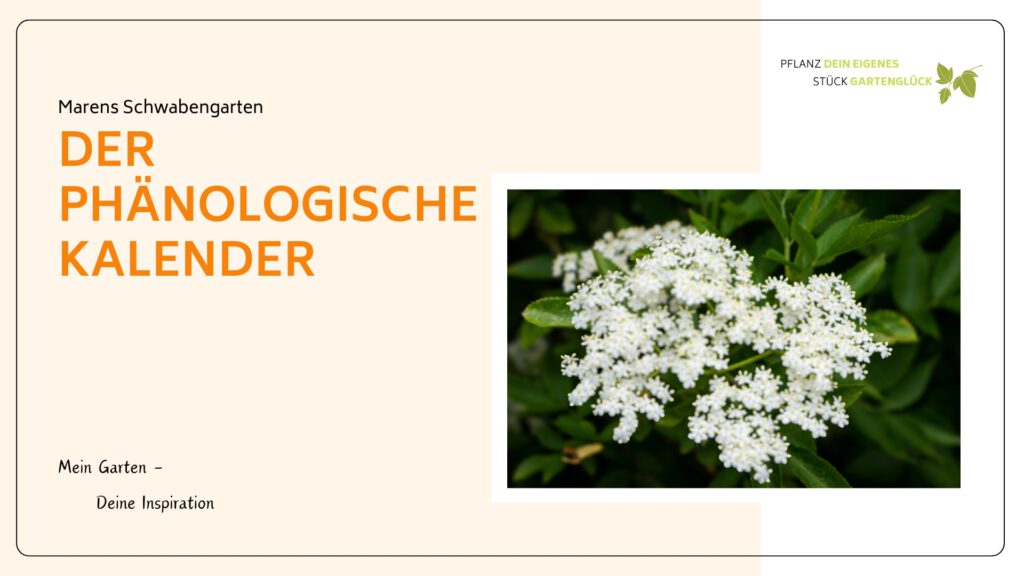 Deckblatt zum kostenlosen Download des phänologischen Gartenkalenders – mit Übersicht aller 10 Jahreszeiten, Zeigerpflanzen und Gartenarbeiten im Jahresverlauf