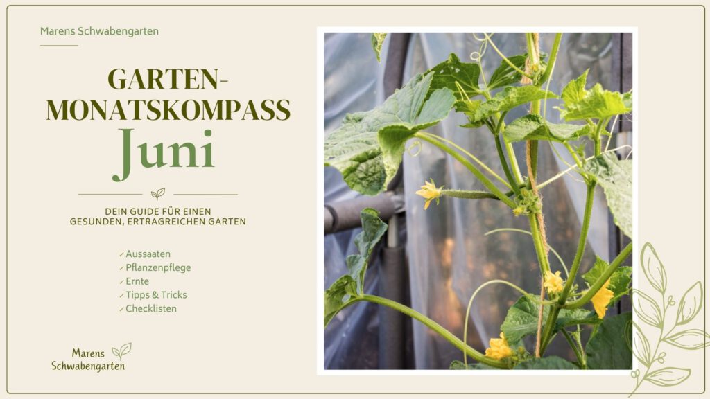 Garten Monatskompass Juni