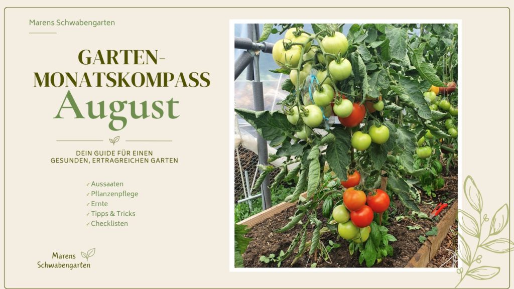 Deckblatt Garten-Monatskompass-August-2026